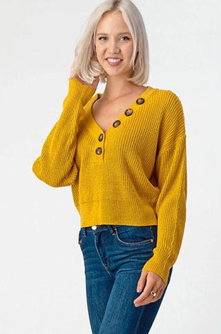 Ribbed V-neck Knit Sweater