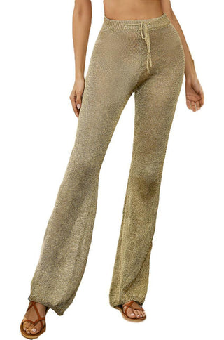 Metallic Mesh Beach Pants