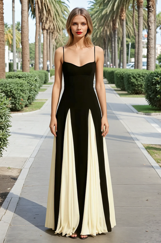 Pamela Black & White Paneled A-Line Maxi Dress